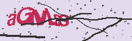 Captcha認証コード